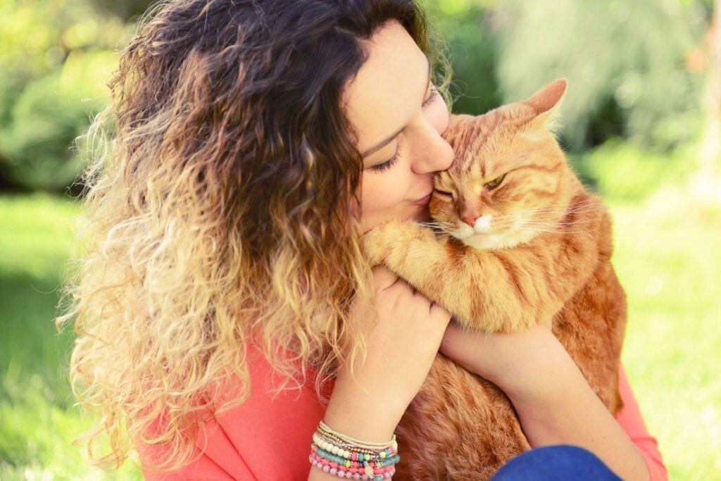 фото взято с Яндекс картинки