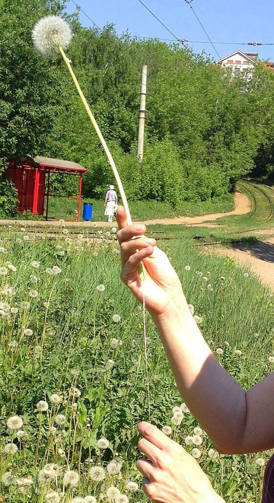 головной убор для одуванчика.