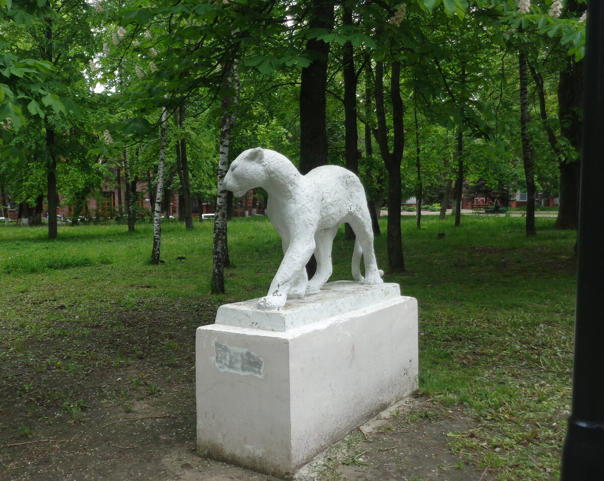 Обитатели Парка Пионеров в городе Курске | classentat | Дзен