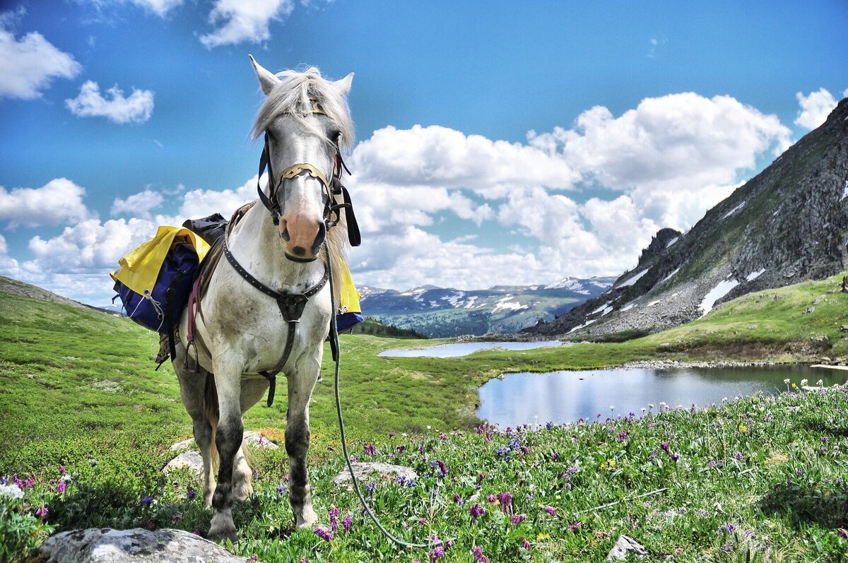 Источник: Яндес картинки