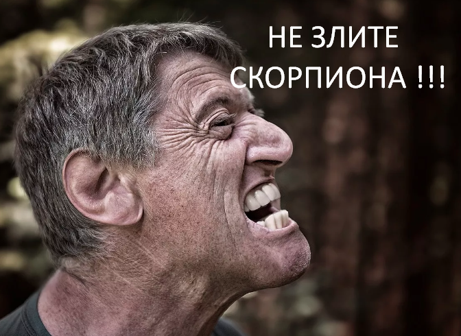 Фото из открытого источника Яндекс 