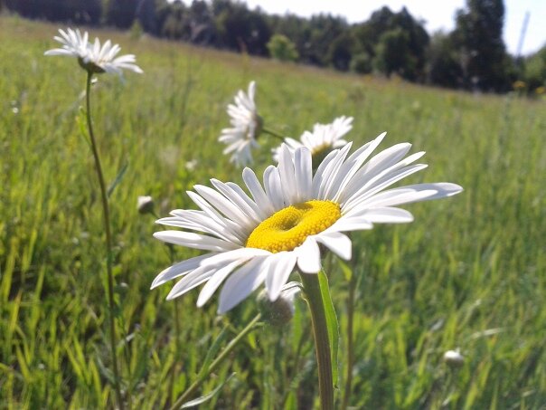 Фото из открытых источников.