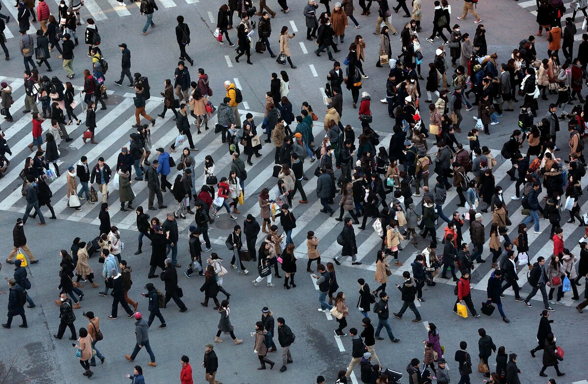 Фото взято из открытых источников