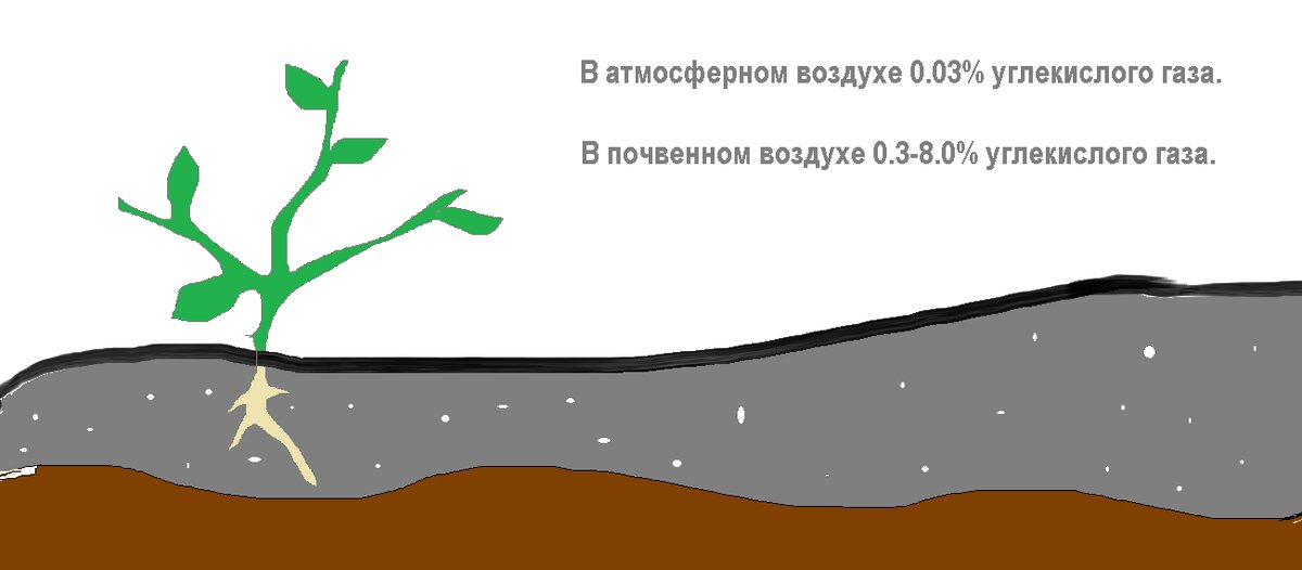 Схематичное изображение