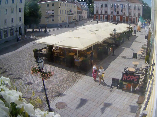     В стране с населением 1,5 млн человек сегодня проживает около 45 тысяч украинцев. Скриншот видео с обзорной камеры