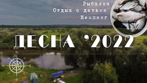 Рыбалка на ДЕСНЕ 2022. Брянская область. Ночевка с детьми на природе. УДИВИТЕЛЬНЫЕ МЕСТА!