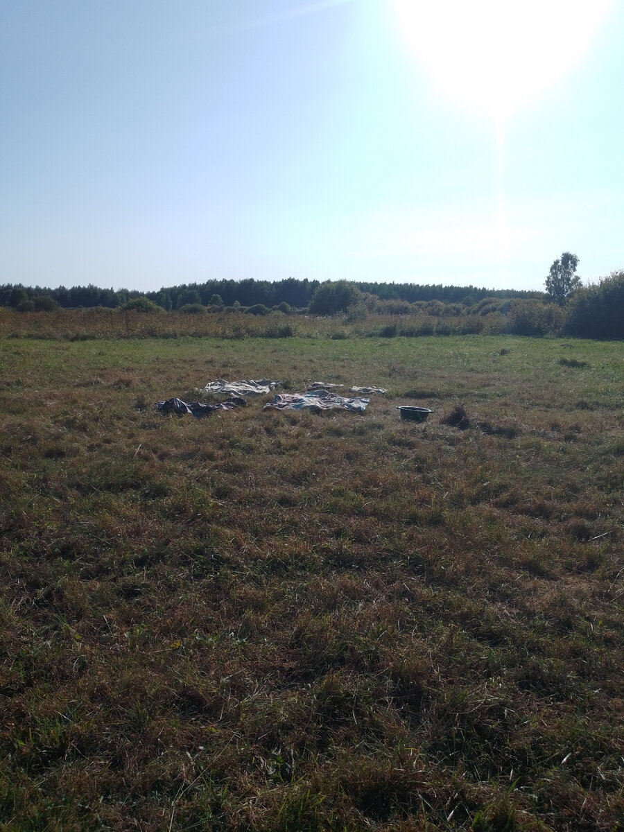 Сушка и УФ дезинфекция