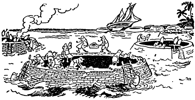 Иллюстрация Анатолия Иткина. Фото взято из открытых источников в сети Интернет.