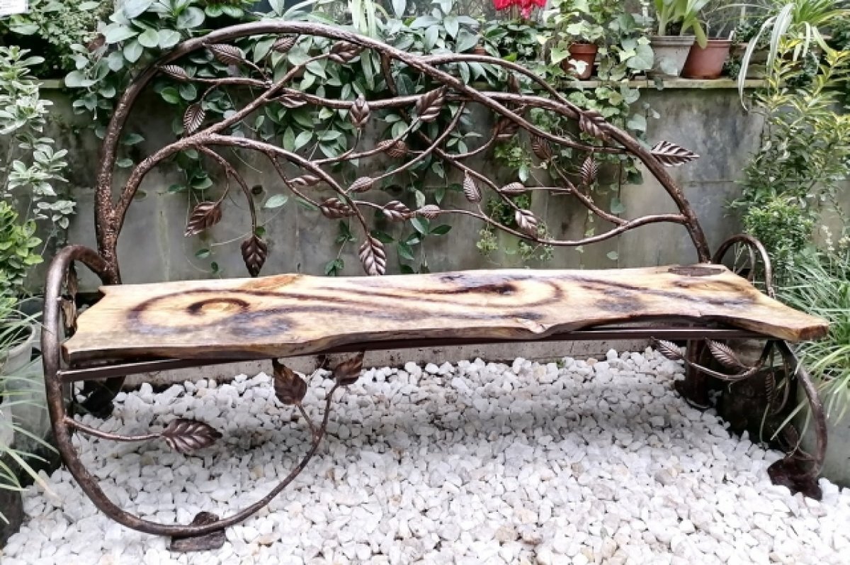    Изящную скамейку подарил неизвестный житель Томска Ботаническому саду ТГУ