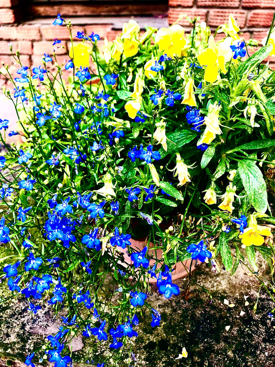 2021 год, личное фото 