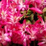    источник фото happymodern.ru admin