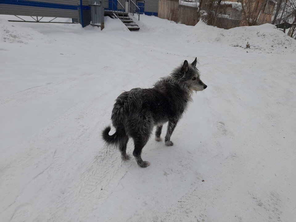     Фото: Алёна Голева
