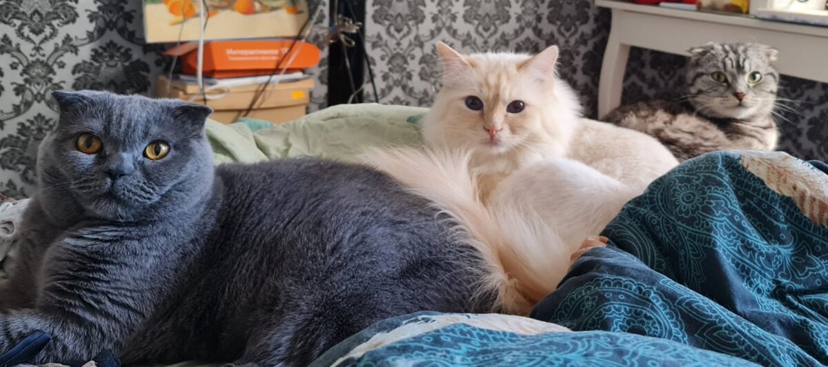 Фото из личного архива 