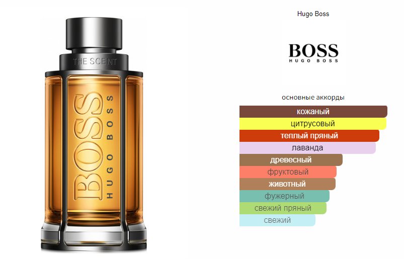 Hugo boss the scent for him clearance fragrantica