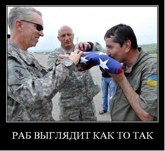 Картинка из открытых источников.