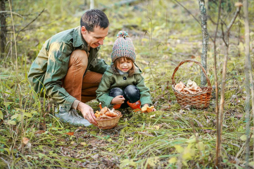   EduardSV, istockphoto