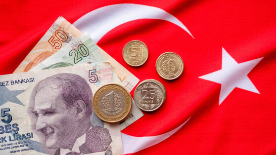    Минфин Турции призвал сограждан потерпеть на фоне нового экономического курса Татьяна Сидорова