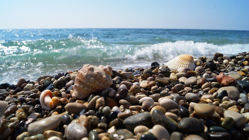 Черное побережье черного моря