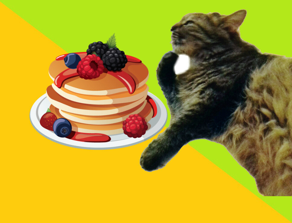 Фотография моей пушистой Музы