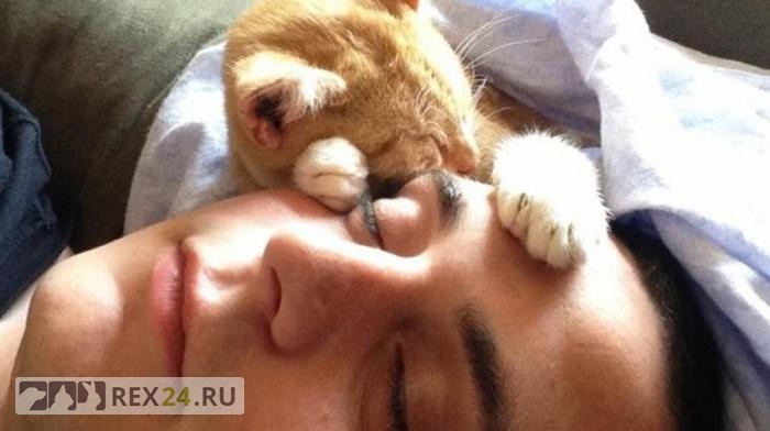 Фото: fb.ru