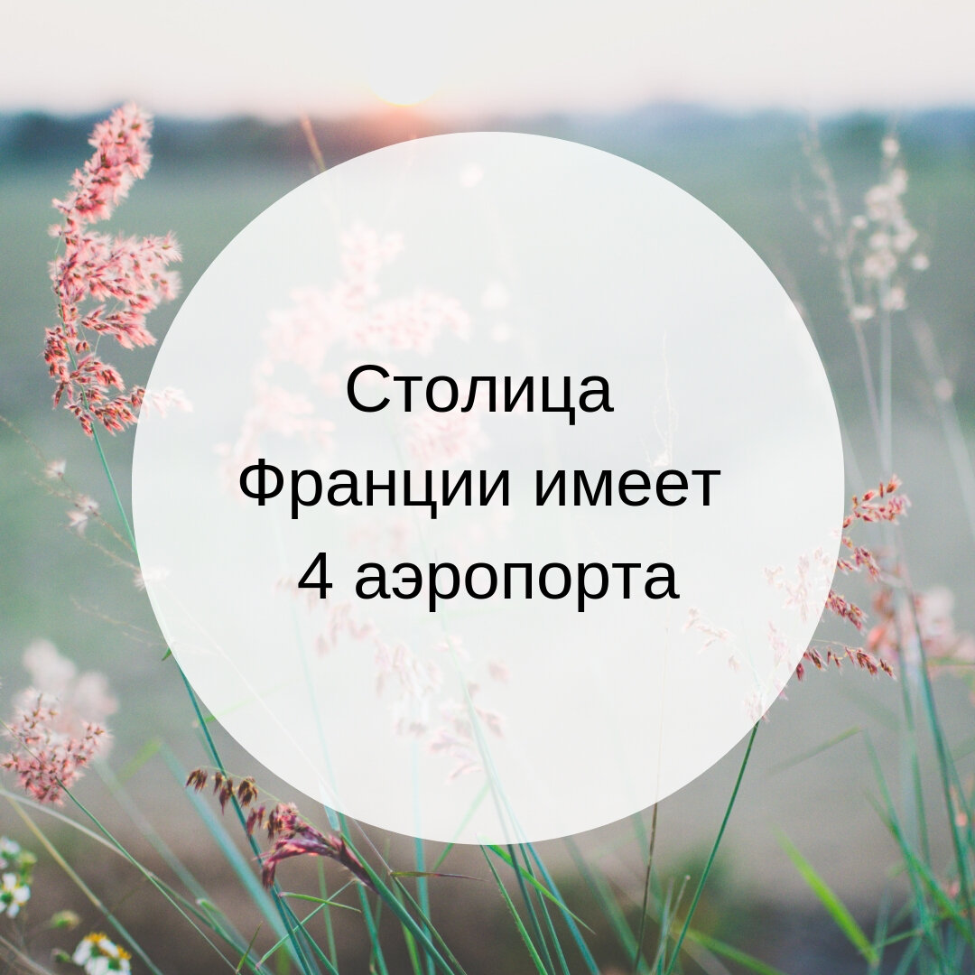 Проверьте свои знания: найдите 7 достоверных фактов о Париже | Литл Биг  Trip | Дзен