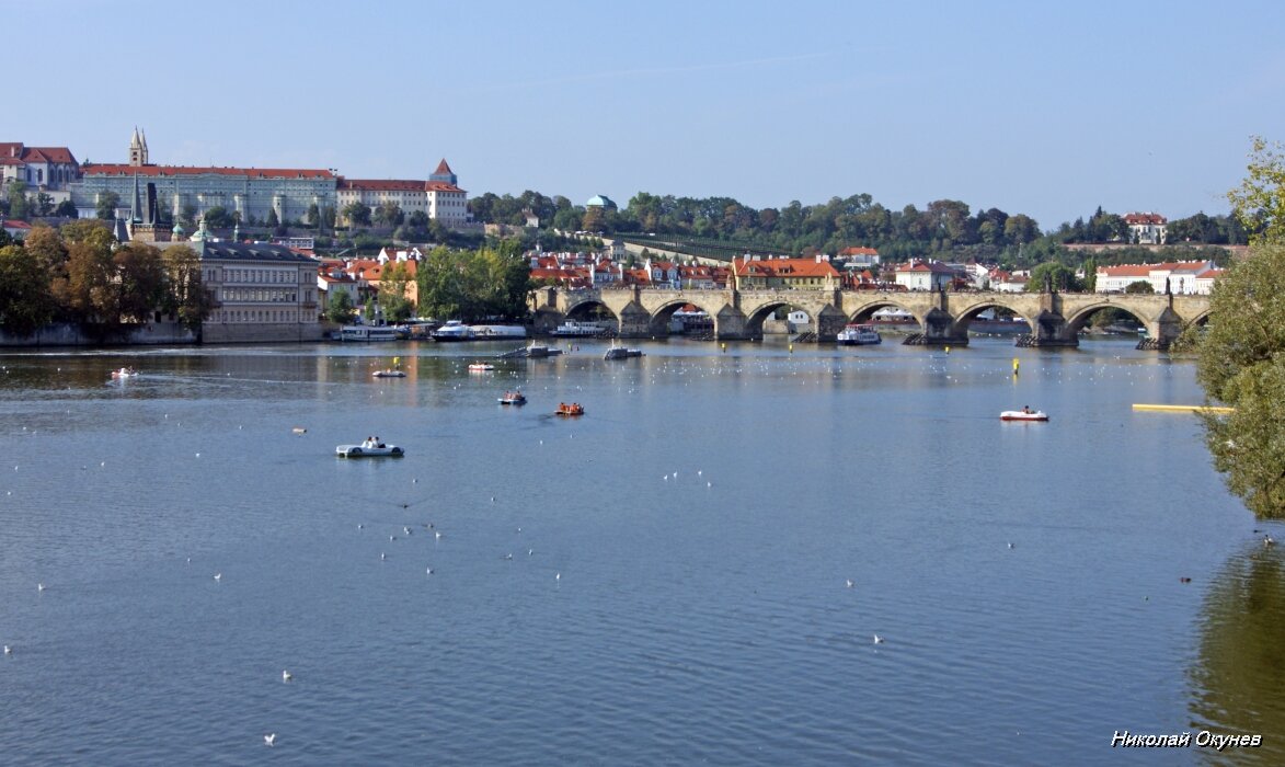 2. Значительная часть водной глади занята птицами, катамаранами, катерами.
