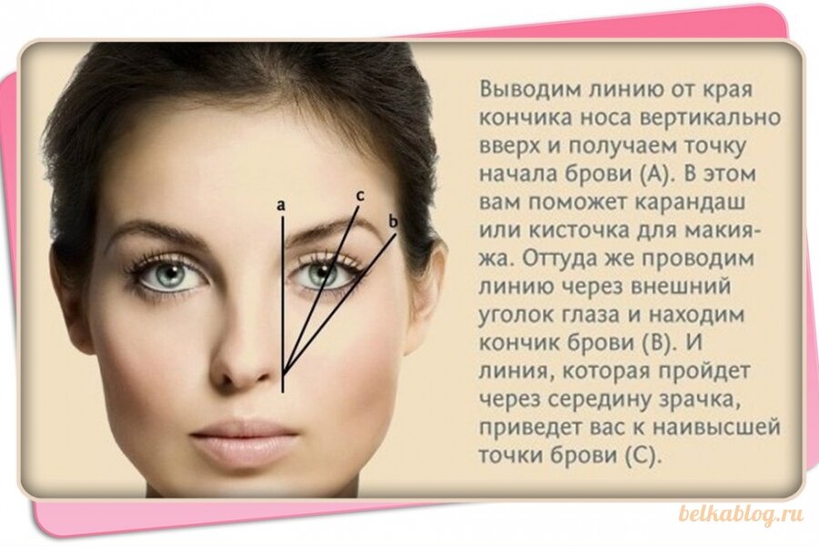 Правильная бровь фото и схема