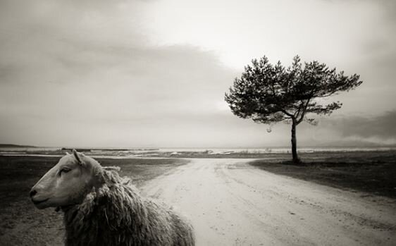 Правило композиции: Равновесие