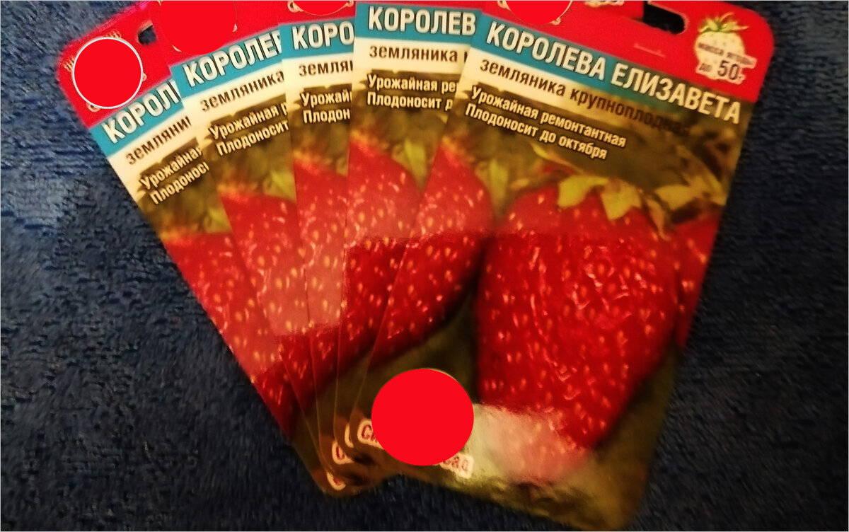 Королева Елизавета. Земляника крупноплодная до 50 г.