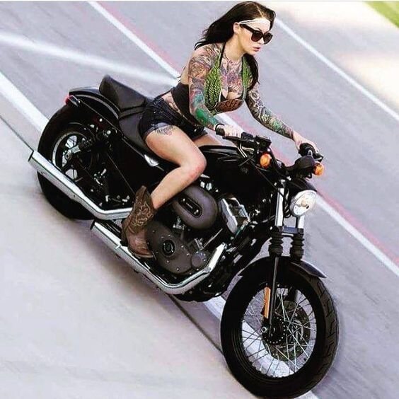 Источник https://harleydavidsonbikepics.com/