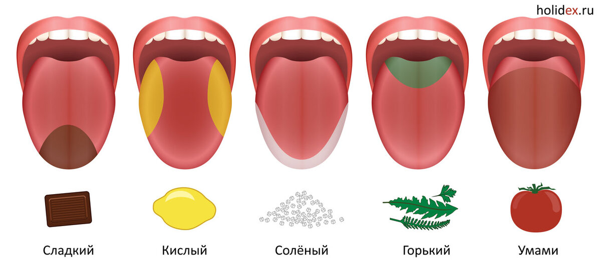 В Азии принято считать, что есть и пятый вкус.