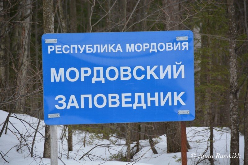 Карта мордовского заповедника - 87 фото