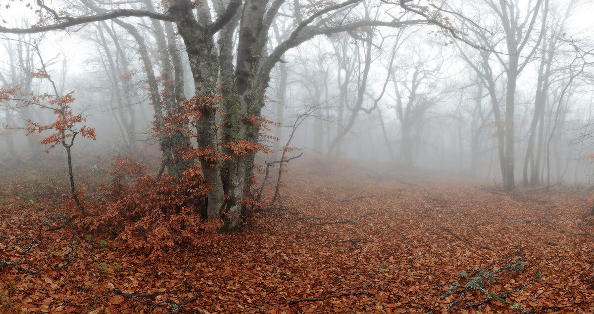 источник фото - http://www.photosight.ru/photos/4851220/