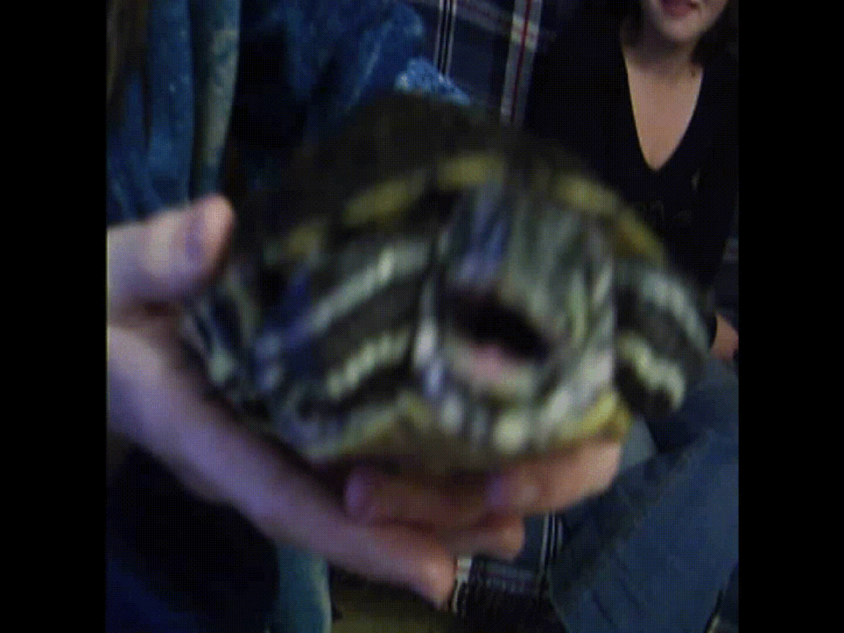 На кого батоны крошишь?!