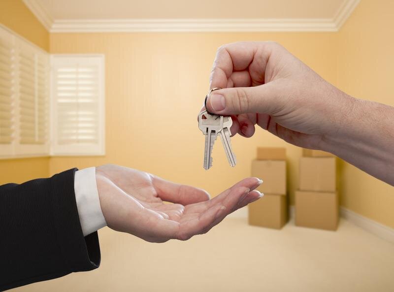 Источник фото: connachttribune.ie