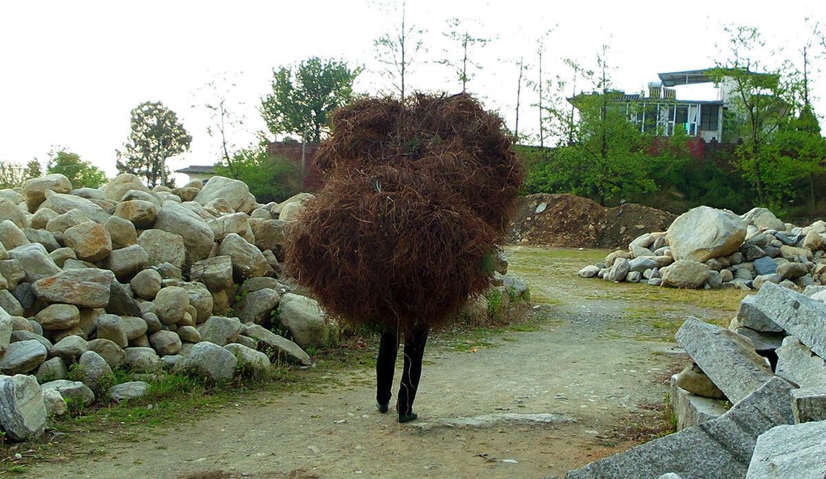 Дневник жизни дзен храма "У Вэй" (Китай)