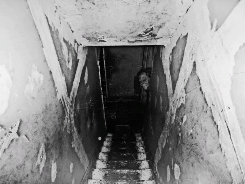 фото из интернета