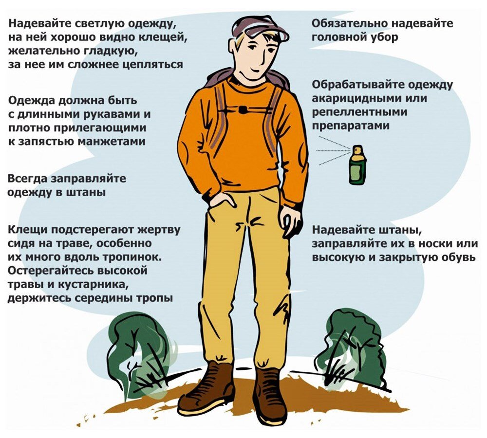 Как защитится от клеща на природе