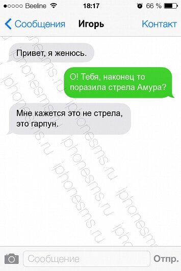 Источник яндекс фото.