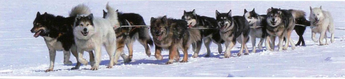 фото из Интернета