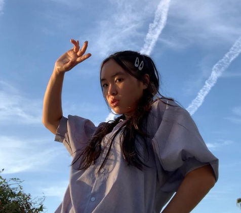 Несмотря на огромное этническое разнообразие России, ни одна из 190 этнических групп официально не определена как азиатская.  