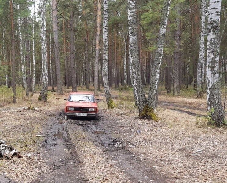 История пришла к нам из Курганской области. Вечером 23 апреля 17-летняя Анастасия Мартюшева должна была выехать из Кургана в Катайск к родственникам. 
Жила она в общежитии Курганского техникума сервиса и технологий. Рядом со зданием девушка поймала попутку - красные Жигули. После этого ее никто не видел.

На следующий день в сети начали появляться ориентировки. Родственники пытались подключить людей к поискам, но большинство лишь уверяло, что в такой возраст, девушка просто загуляла и потом вернется, все думали, что она просто выпивает где-то с друзьями.

Но закончилась история тем, что вчера в лесу недалеко от областного центра было найдено мертвое обезображенное тело Анастасии, а рядом стояли те самые красные Жигули. Полицейские сразу же пробили номера и установили владельца.

В итоге были задержаны двое молодых людей 1997 и 1999 годов рождения. Сейчас они дают показания. Выясняется, не изнасиловали ли они свою жертву. Вполне возможно, после этого они убили ее, чтобы скрыть следы преступления. Во всем разбираются полицейские.