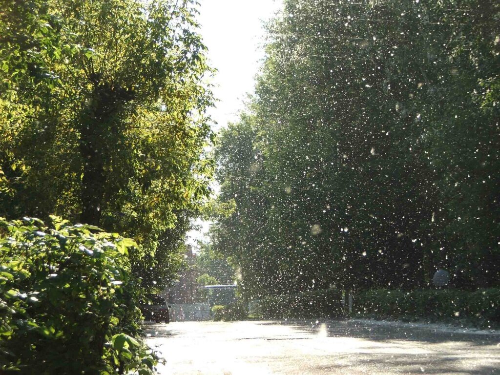 фото:orbita96.ru