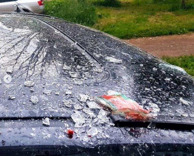 Фото – vk.com/zlo43