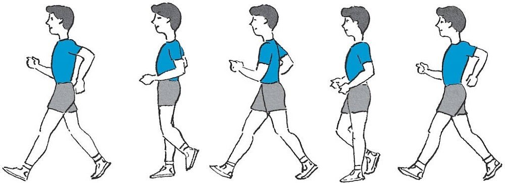 Делай шире шаг. Упражнения в ходьбе. Ходьба на носках упражнение. Упражнения в ходьбе по физкультуре. Медленная ходьба.