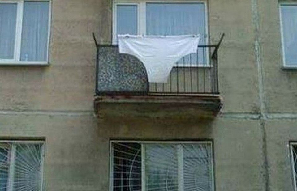 Фото с сайта: yandex.ru 