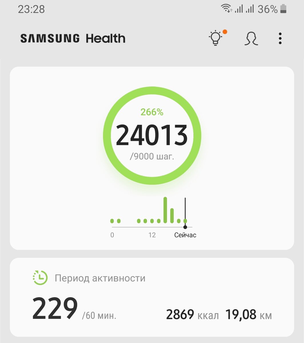 Вот отчет по ходьбе 