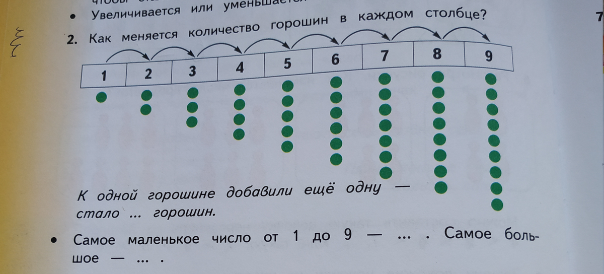 Сколько горошин в стакане