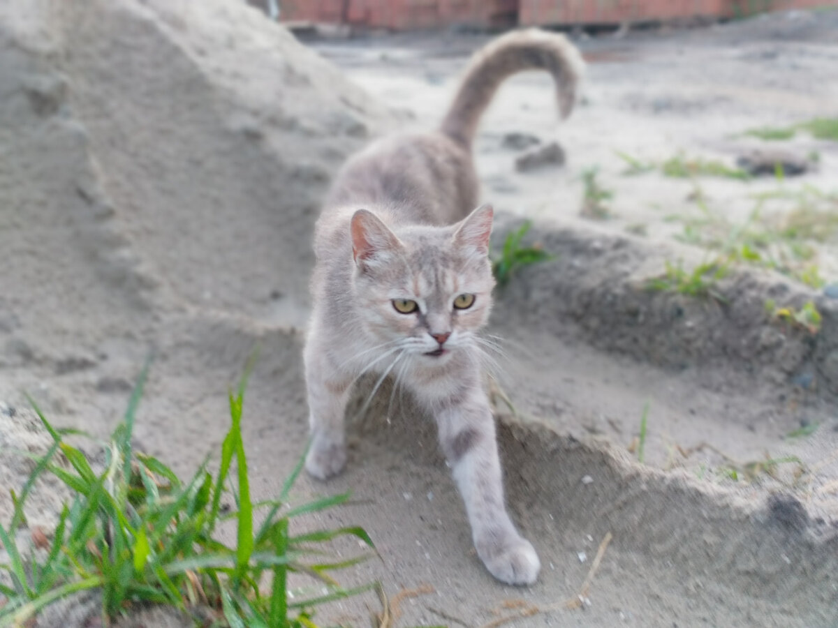 Она очень красиво смотрится на песочке)