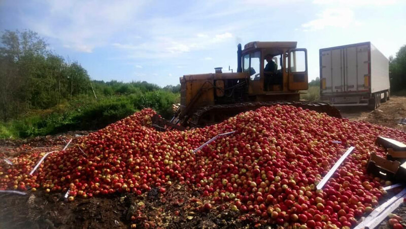 Фото с официального сайта федеральной службы по ветеринарному и фитосанитарному надзору.